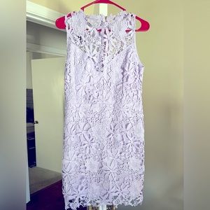 Main Strip Lavender Lace Dress Large